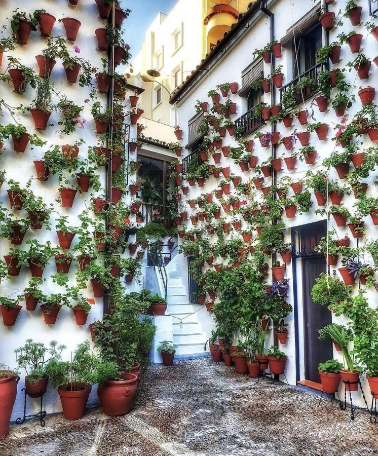 Apartamentos El Alcazar Viejo コルドバ エクステリア 写真