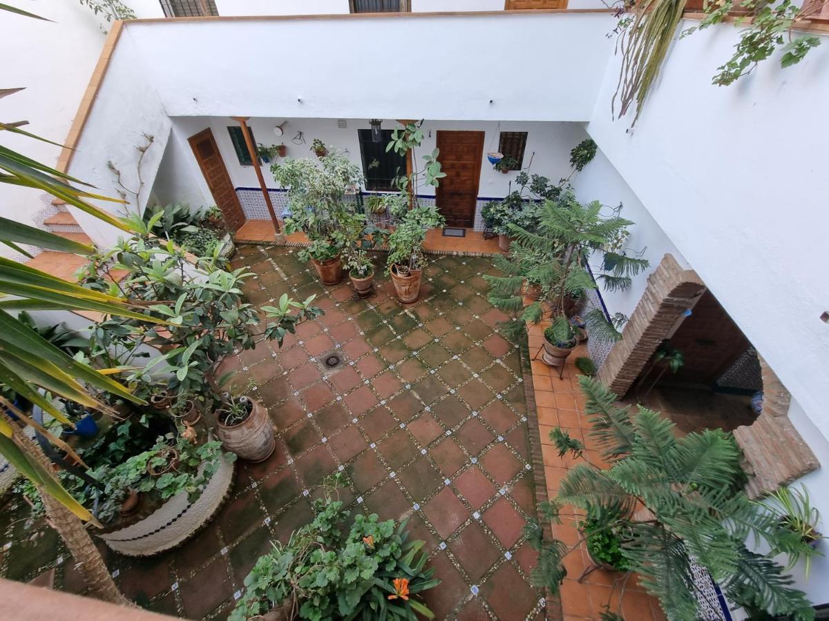 Apartamentos El Alcazar Viejo コルドバ エクステリア 写真
