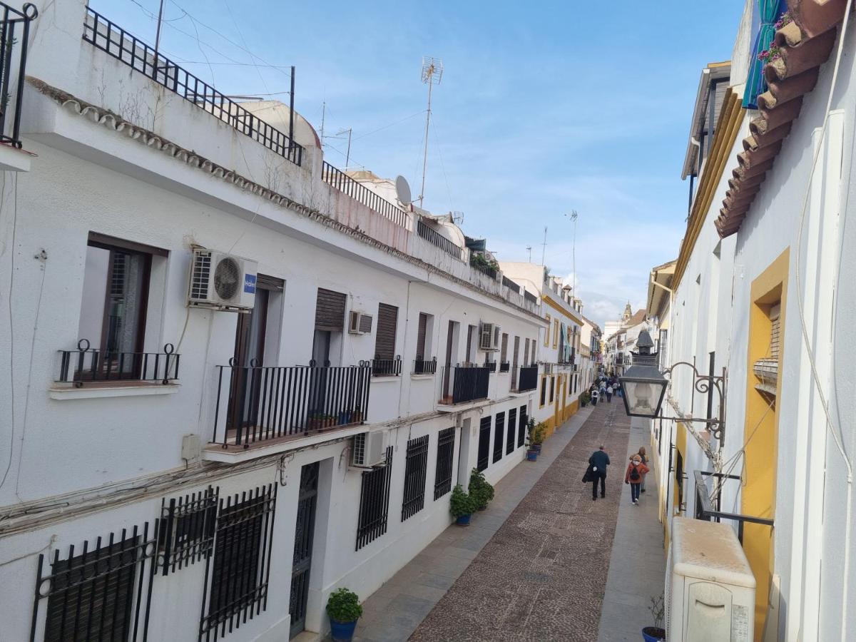 Apartamentos El Alcazar Viejo コルドバ エクステリア 写真
