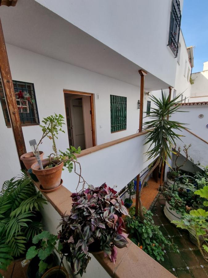 Apartamentos El Alcazar Viejo コルドバ エクステリア 写真